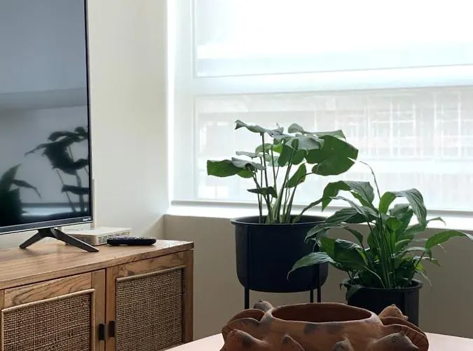 New In The Heart Of Polanco Apartment *